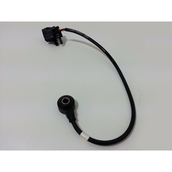 Sensor Detonação Ford Focus 1.6 16v Flex