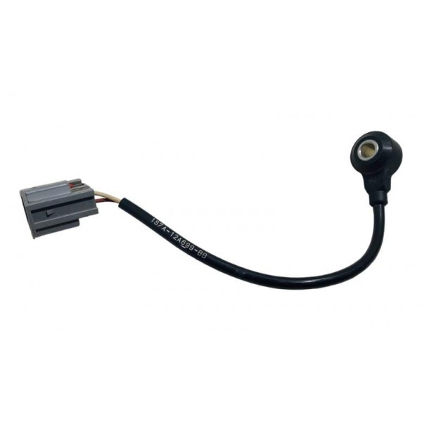 Sensor De Detonação Ford Focus 2015-usado